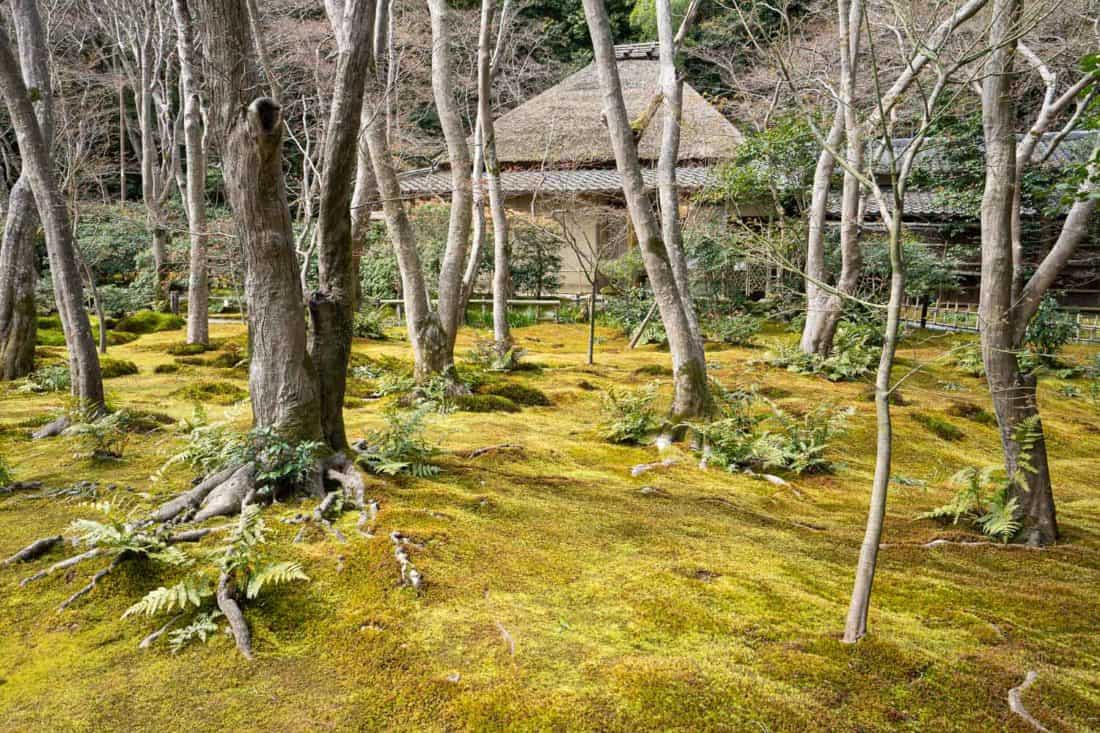 Gio-ji moss temple in Arashiyama, Kyoto