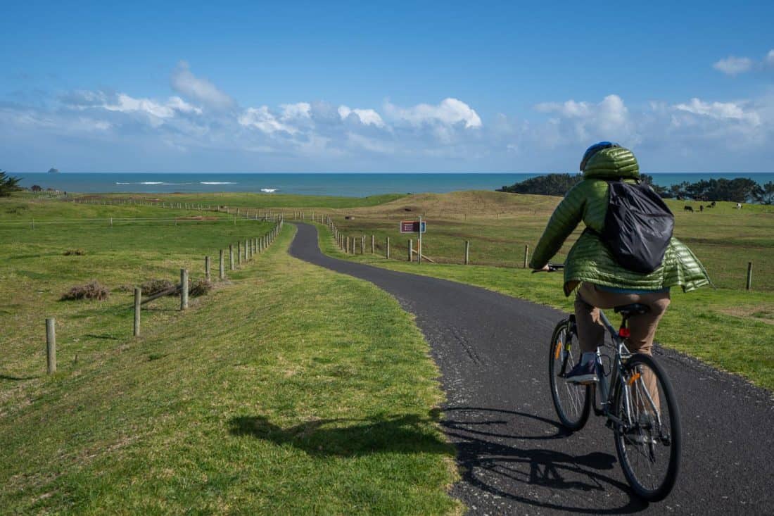 Cycling through green fields towards the sea on the New Plymouth Coastal Walkway, Taranaki, New Zealand