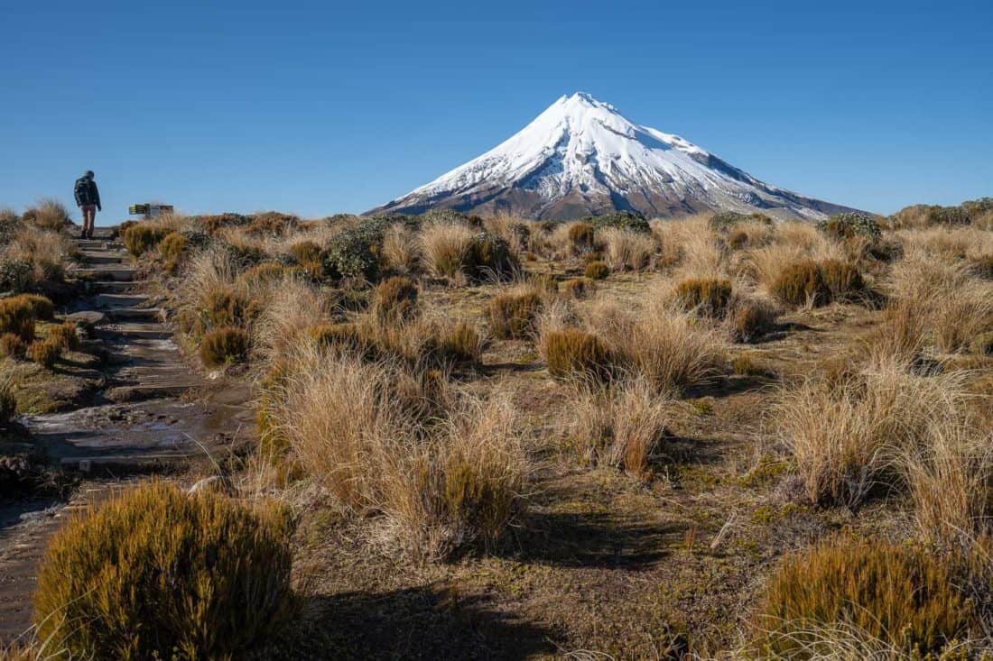 Hiking on the Mangorei Track with view of Mt Taranaki, New Zealand