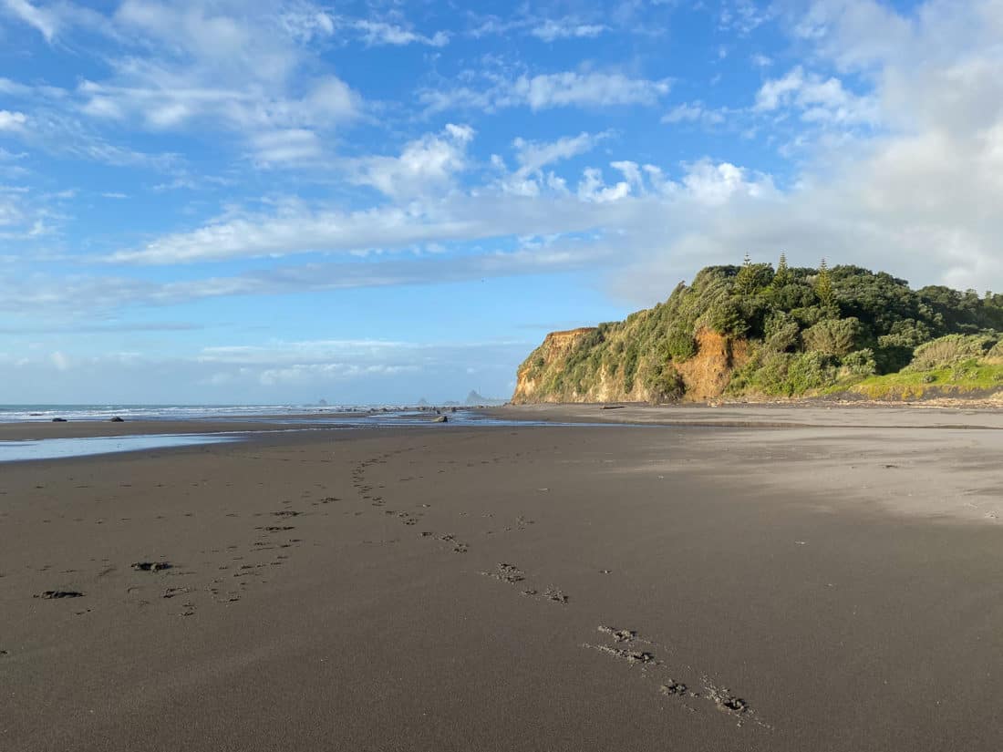 Oakura Beach on Taranaki Surf Highway 45, New Zealand