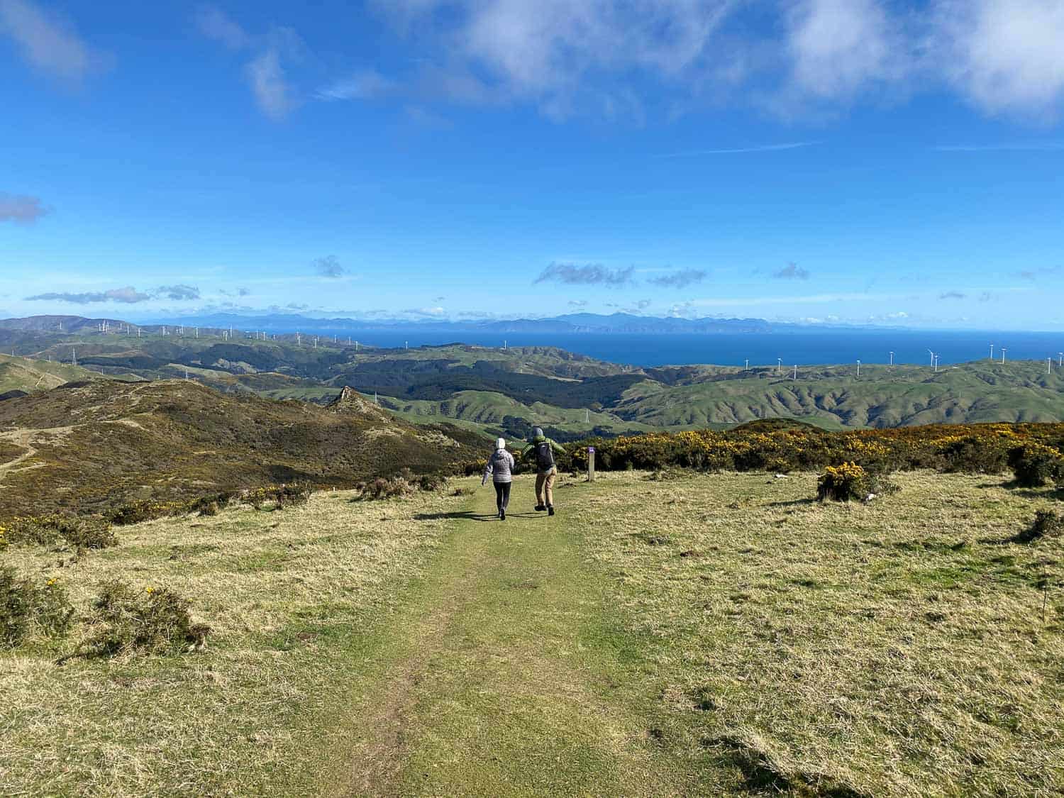 Hiking the Skyline Walkway in Wellington