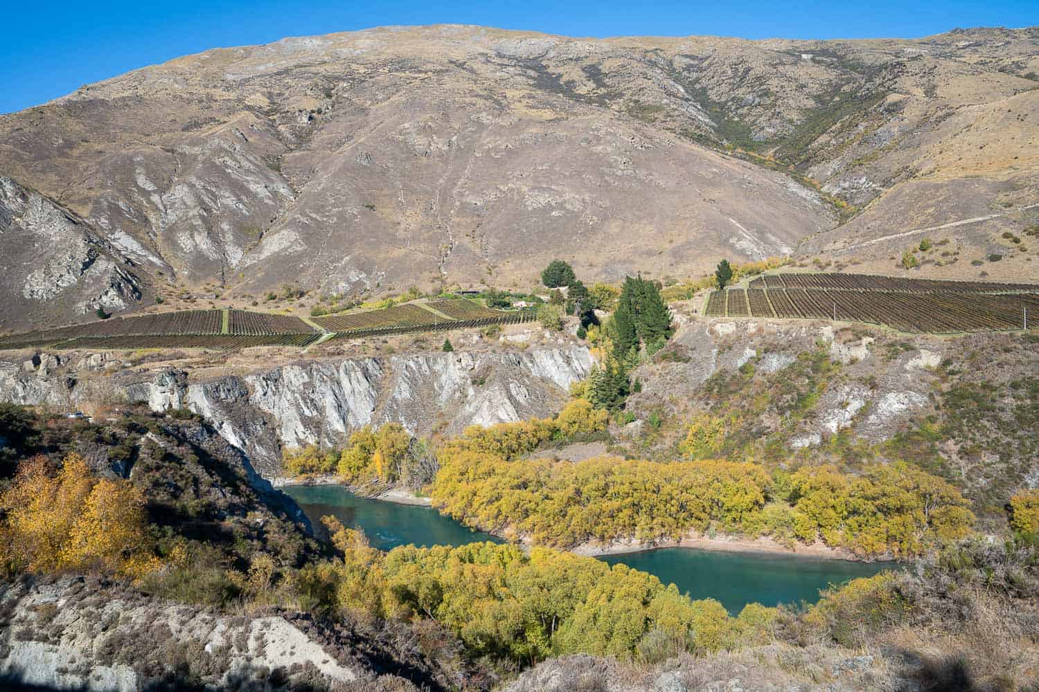 Gibbston Valley Wineries - the autumn view from the Gibbston Valley bike trail from Arrowtown to Gibbston