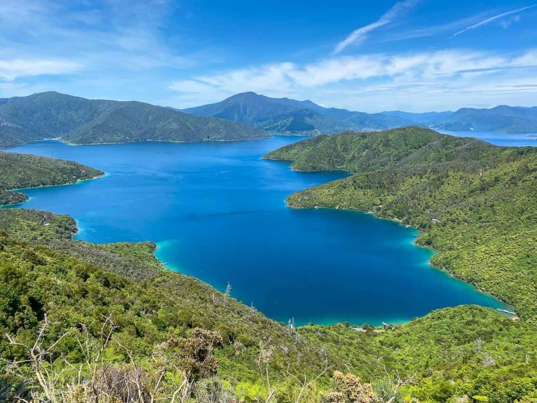 Marlborough Sounds in New Zealand, one of the best South Island road trip stops