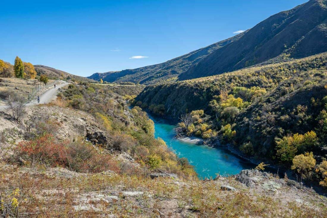 The Gibbston valley wine trail in autumn