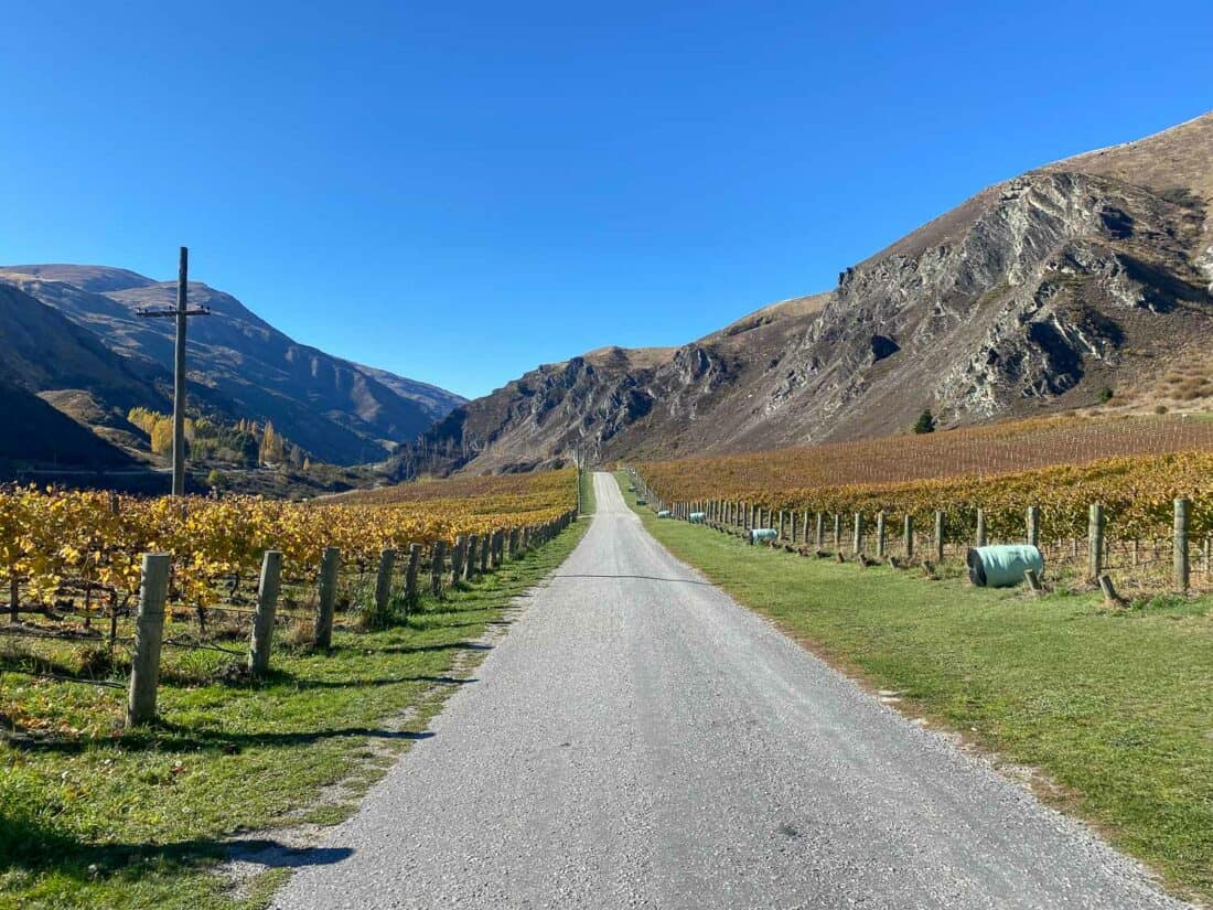 The road back down from Chard Farm, one of the top Gibbston Valley wineries in Central Otago, New Zealand