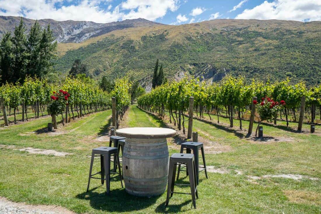 Kinross Winery in the summer in Gibbston Valley, New Zealand