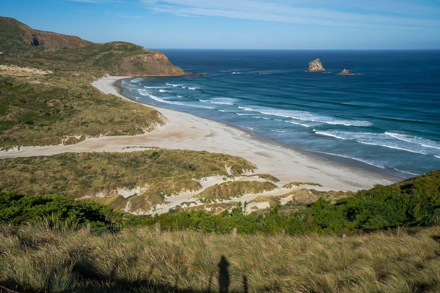 Sandfly Bay on the Otago Peninsula on the East Coast South Island in New Zealand