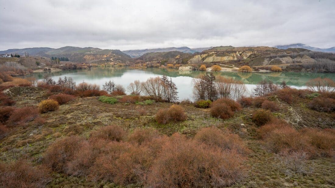 View on the Bannockburn Inlet section on the Lake Dunstan Trail