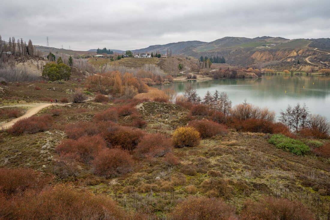 Remnants of autumn colour in early winter on the Bannockburn section of the Lake Dunstan bike trail