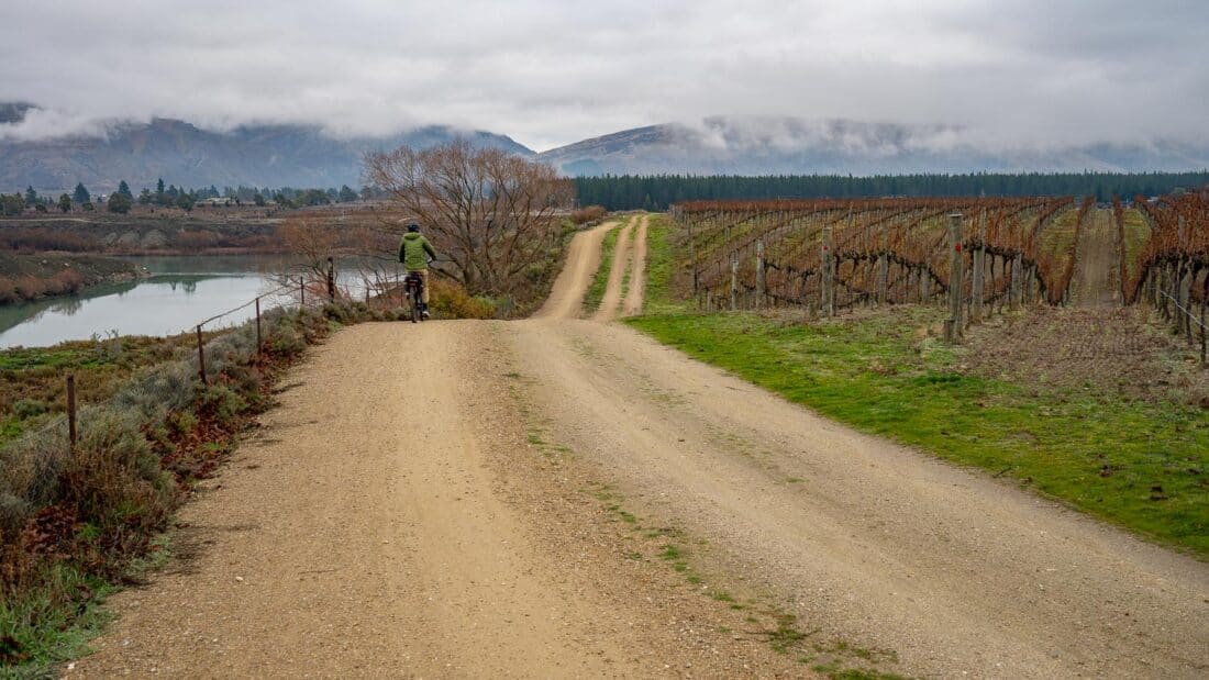 Cycling through the vineyard of Carrick Winery on the Lake Dunstan bike trail