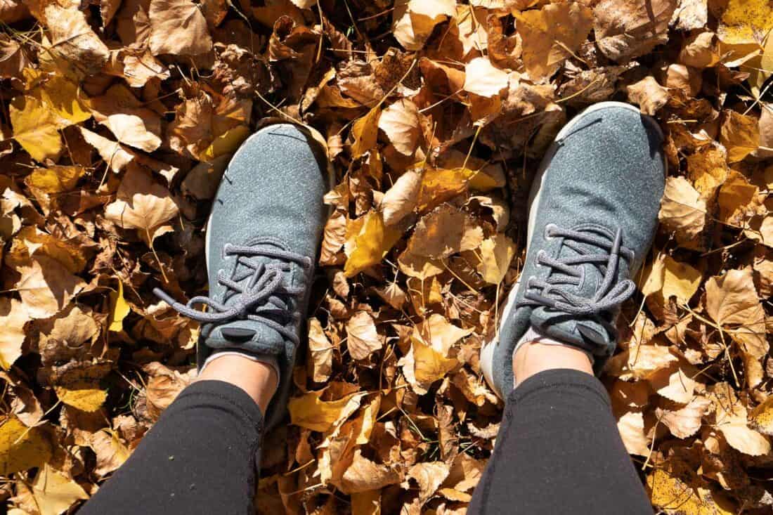 Allbirds Wool Runners Mizzles in Ironbark colour amongst autumn leaves