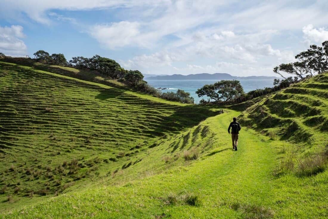 Hiking the Peninsula Loop in Mimiwhangata Coastal Park, Bay of Islands, New Zealand