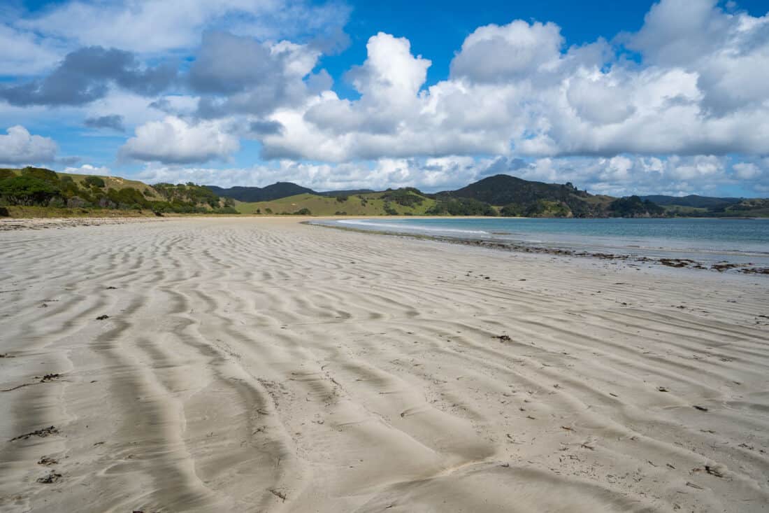 Mimiwhangata Beach in Mimiwhangata Coastal Park, Northland NZ