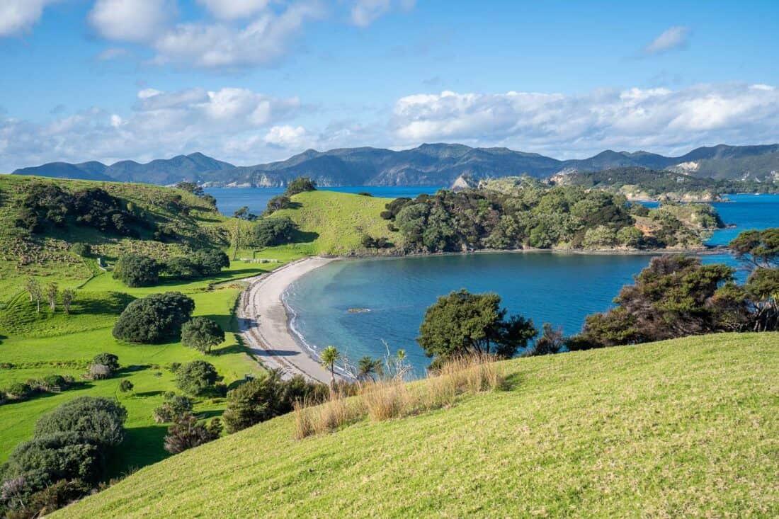 Urupukapuka Bay on Urupukapuka Island is one of the best things to do in Bay of Islands New Zealand