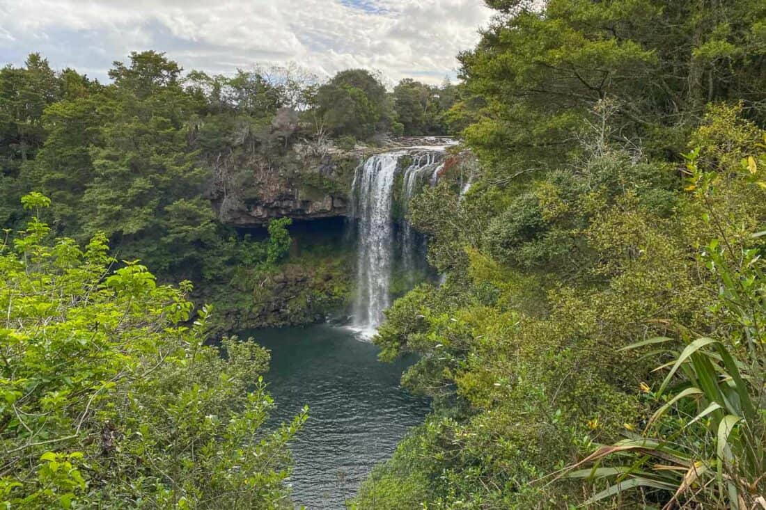 Rainbow Falls in Kerikeri