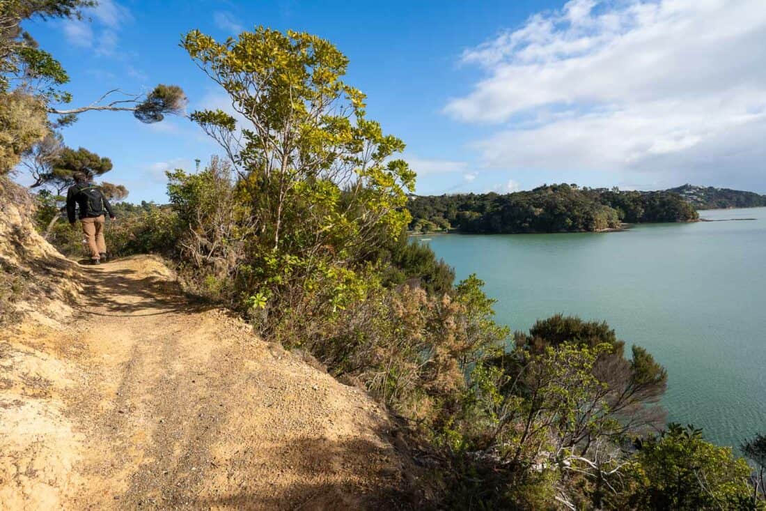 Opua to Paihia Coastal Walkway, one of the best Bay of Islands activities