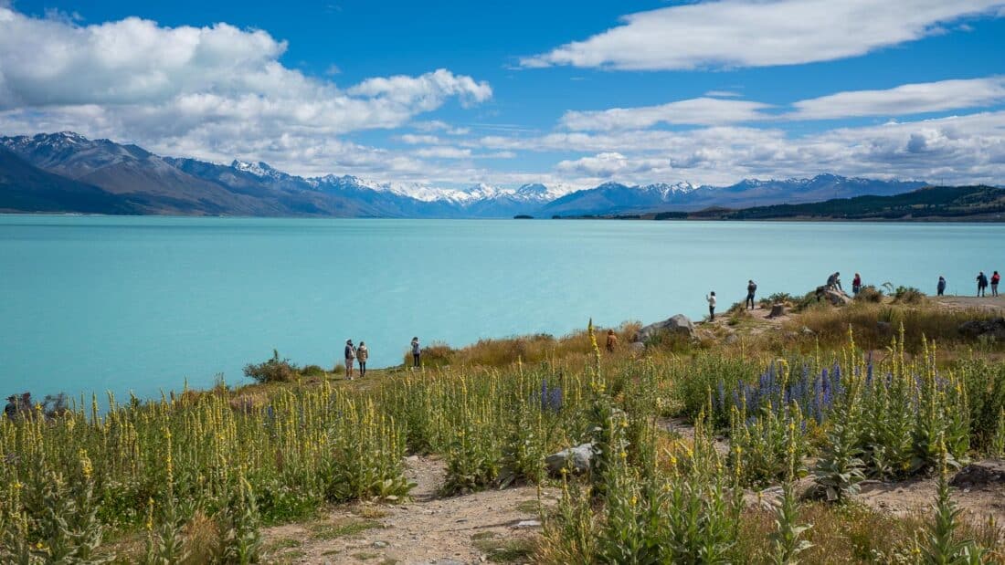 Viewpoint of Mt Cook at turquoise Lake Pukaki on the South Island New Zealand