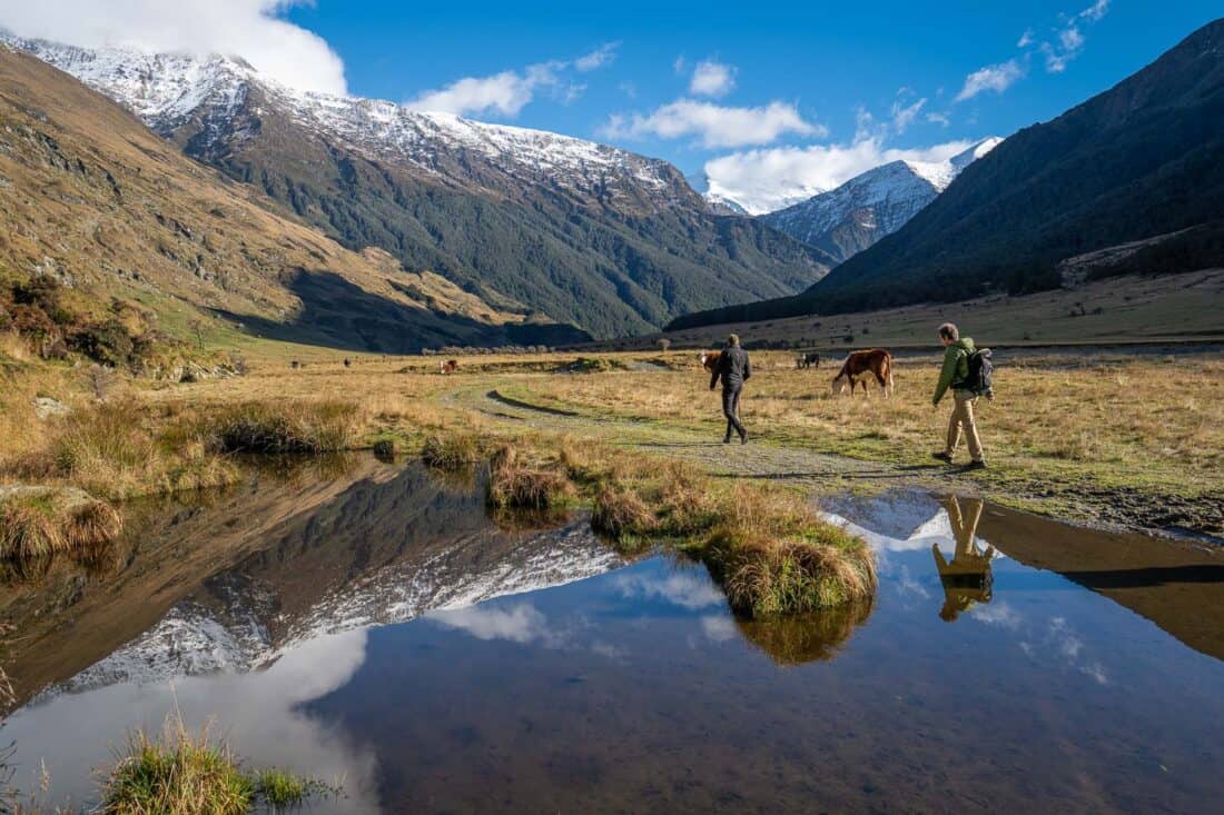Hiking in Mt Aspiring National Park is one of the best things to do in South Island NZ