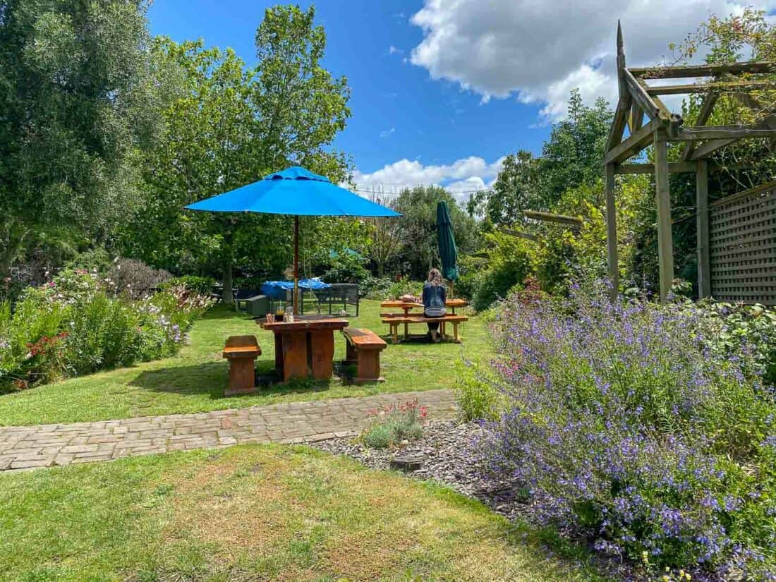 Relaxing garden at Grape Escape Cafe in Nelson, NZ