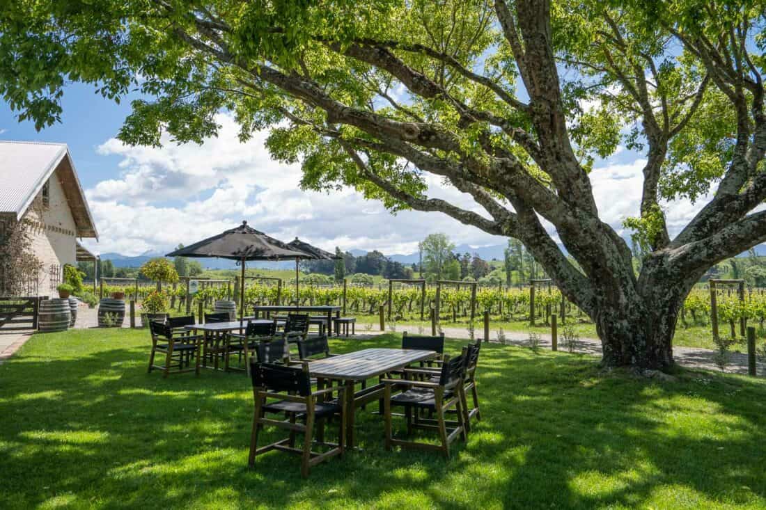 Outdoor garden at Moutere Hills winery near Nelson New Zealand