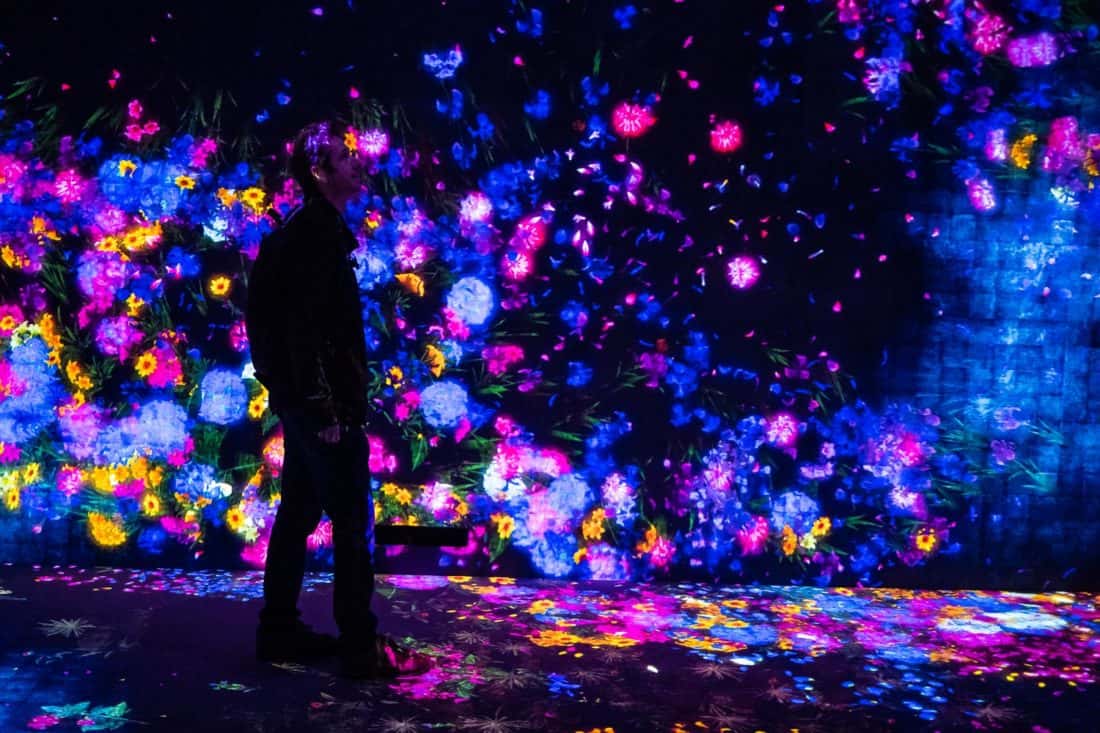 TeamLab Borderless digital arts museum in Tokyo