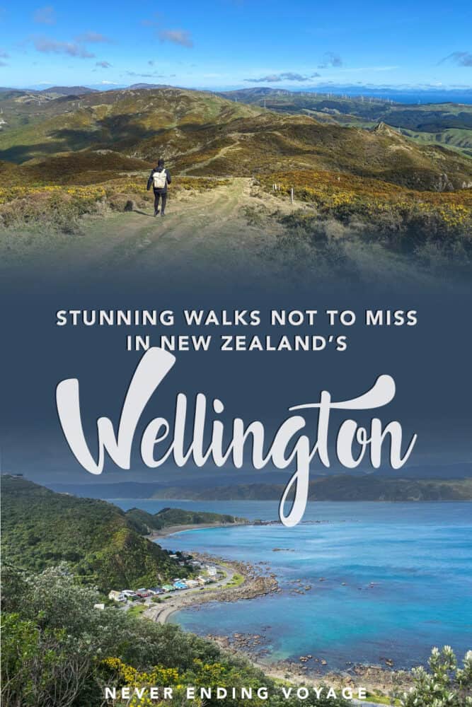 One of the best things to do in Wellington, New Zealand -- enjoying their many scenic walks. Here are ones NOT to miss! | #wellington #newzealand