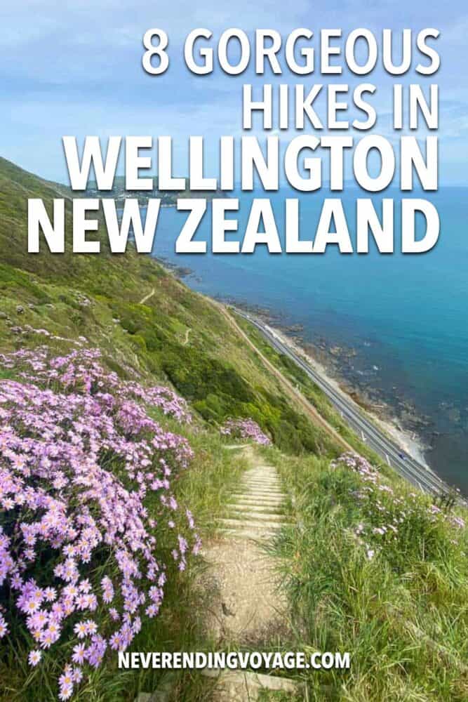 Wellington NZ Walks Travel Guide Pinterest pin