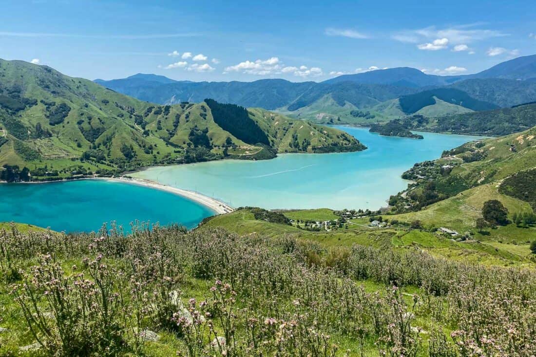 Cable Bay near Nelson, one of the prettiest places in New Zealand