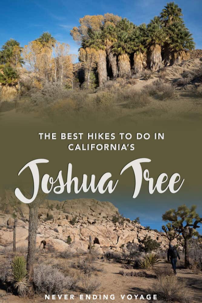 Planning to hike around Joshua Tree National Park in southern California? Here are the best hiking trails and tips for your trip! | #nationalparks #ustravel #california
