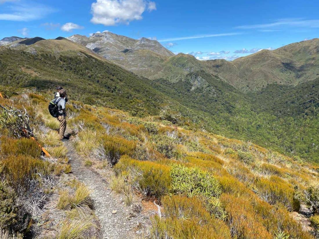 Hiking to Mt Arthur Hut in Kahurangi National Park on the Flora Hut to Arthur hut loop, New Zealand