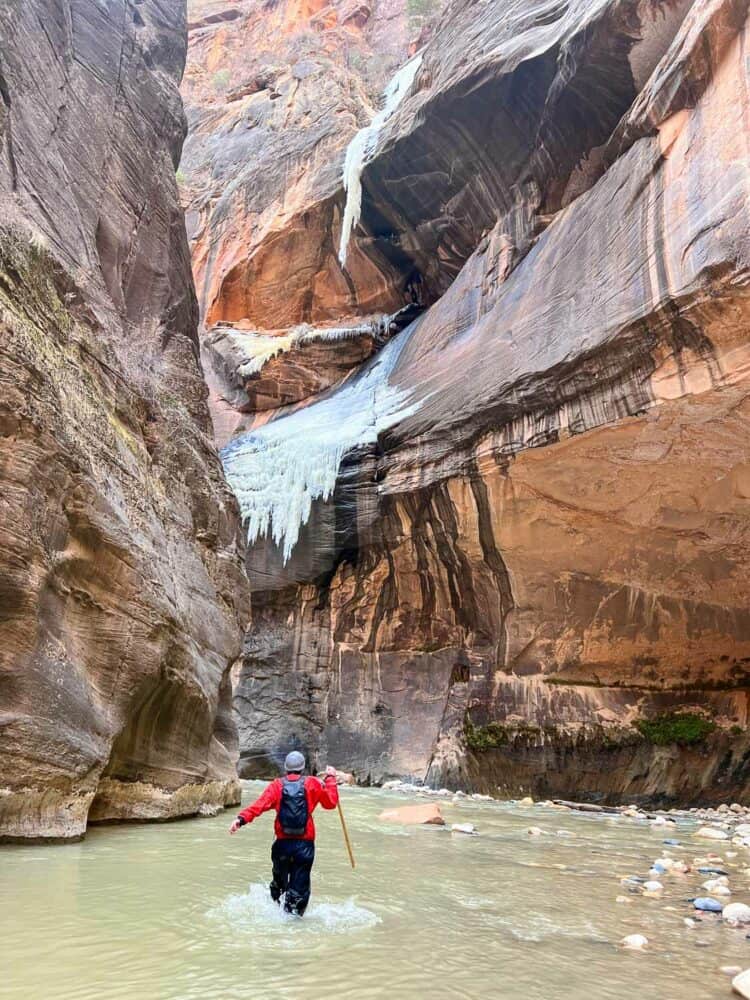 Simon hiking The Narrows in Zion in winter with ice dripping from canyon