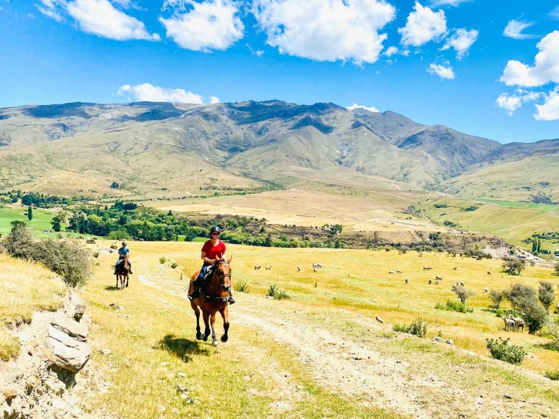 Erin and Simon cantering on a horse ride with The Cardrona