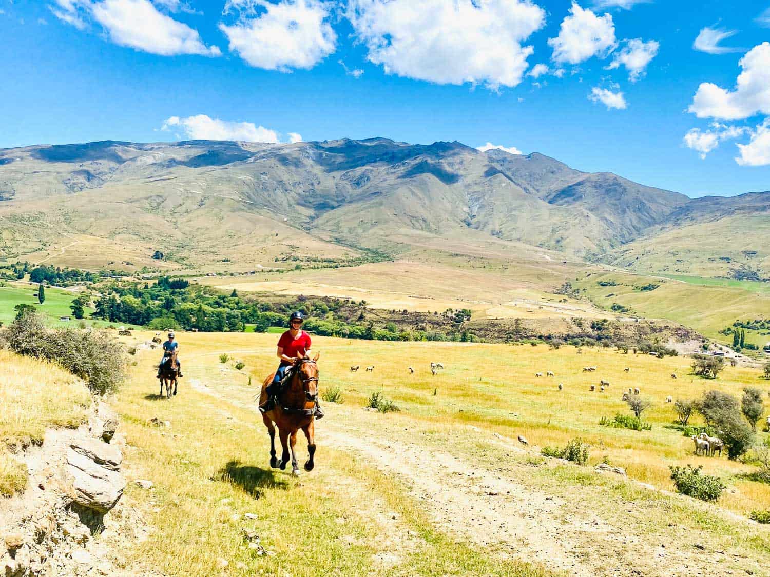 Erin and Simon cantering on a horse ride with The Cardrona, Wanaka, New Zealand