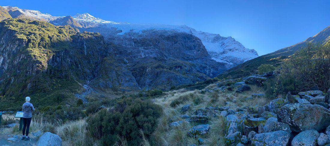 Erin and kea at the upper lookout of the Rob Roy Glacier Track in Mt Aspiring National Park