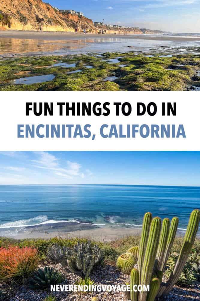 A guide to the best things to do in Encinitas from stunning beaches to quirky gardens and canyon trails.