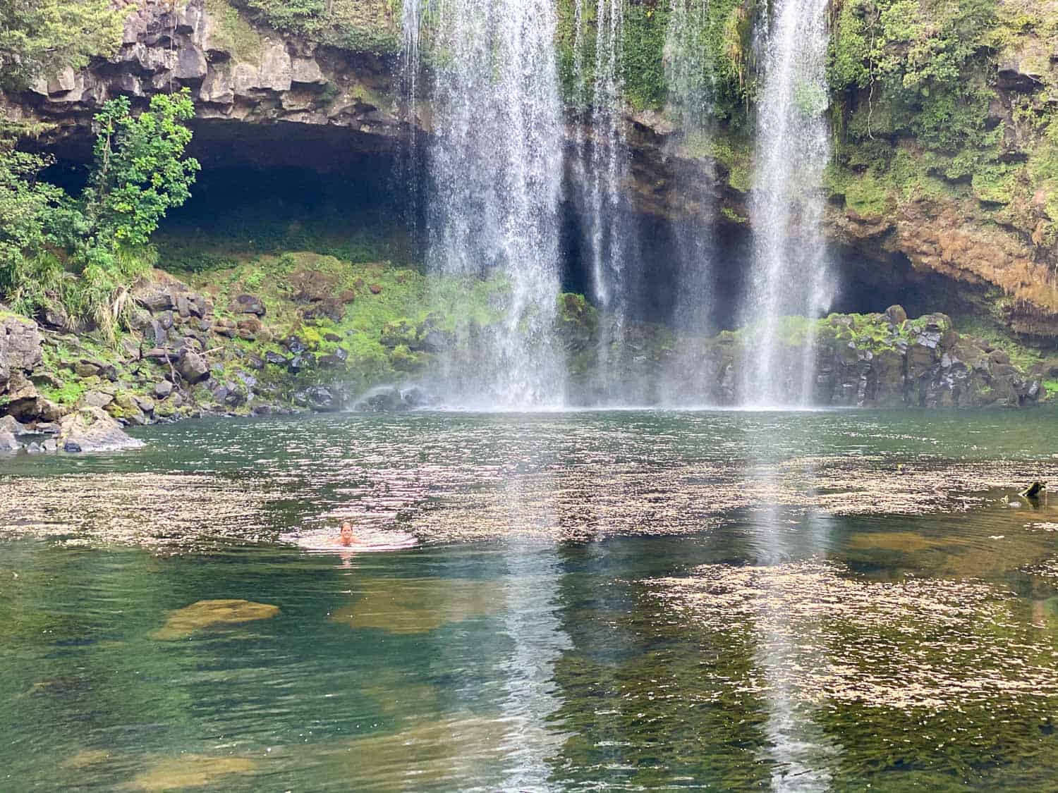 Erin swimming in Rainbow Falls in Kerikeri