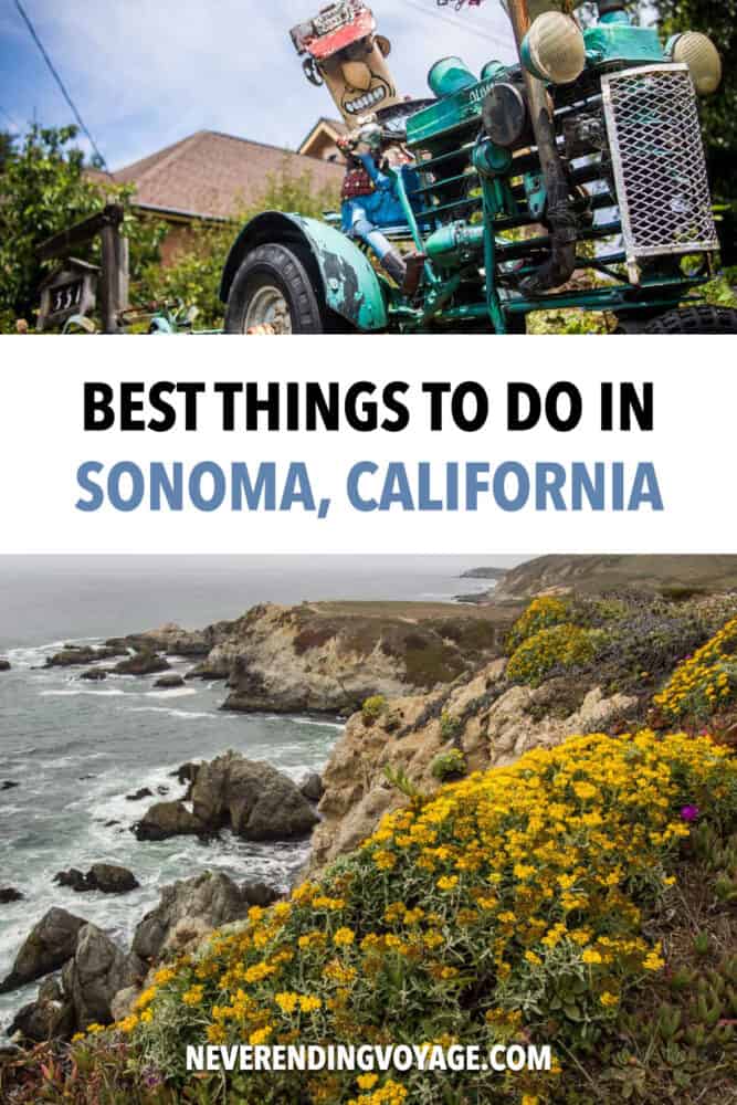 All the best things to do in Sonoma from relaxing wineries to delicious cheese trails and coastal hikes