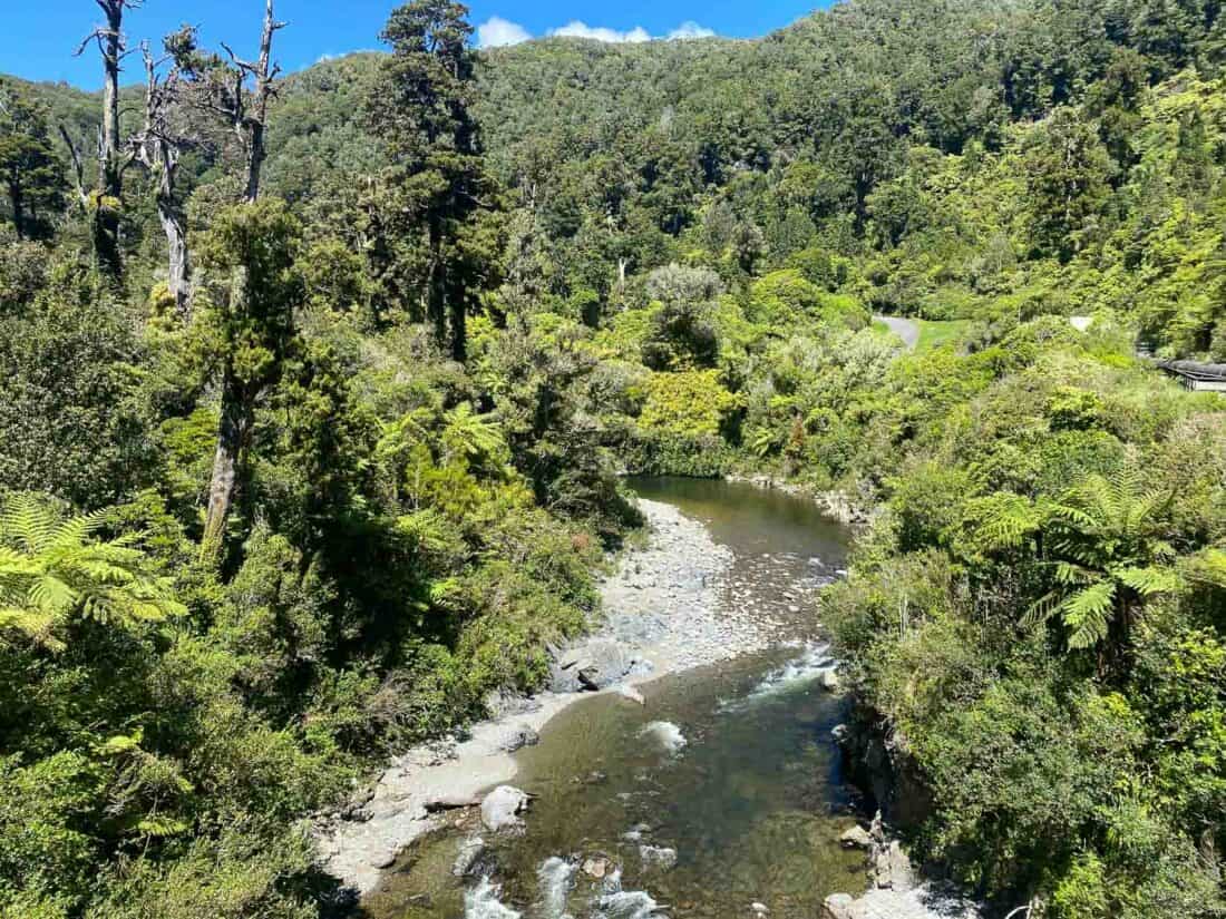 Kaitoke Regional Park near Wellington NZ