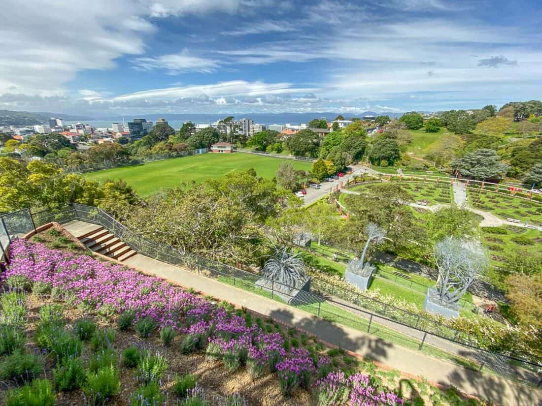 Wellington Botanic Gardens in New Zealand