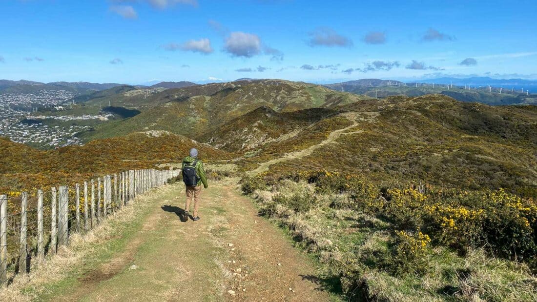 Simon hiking the Skyline Trail in Wellington, New Zealand