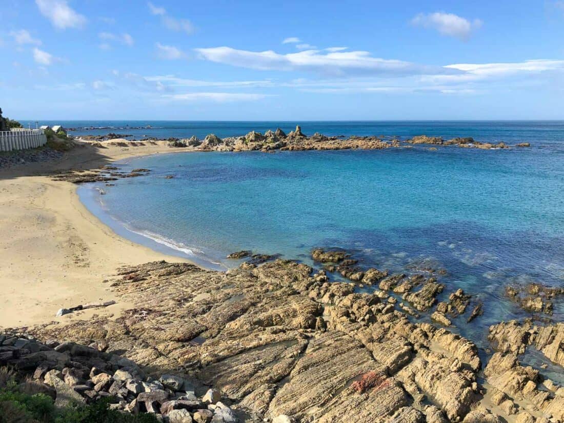 Princess Bay in Wellington New Zealand