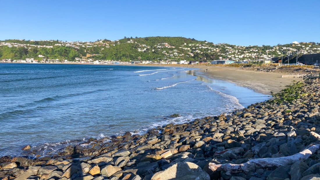 Lyall Bay Beach in Wellington