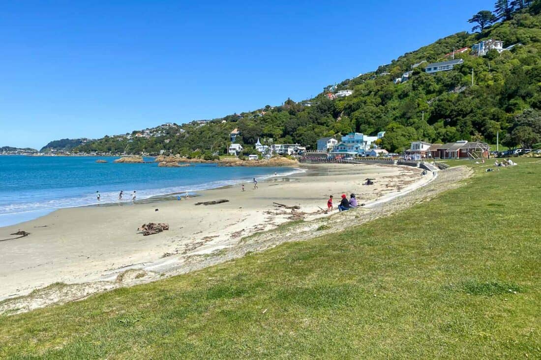 Scorching Bay Beach in Wellington NZ
