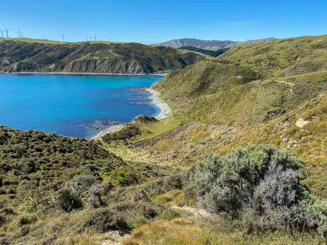 The view from the top of the hill on the Makara Walkway in Wellington