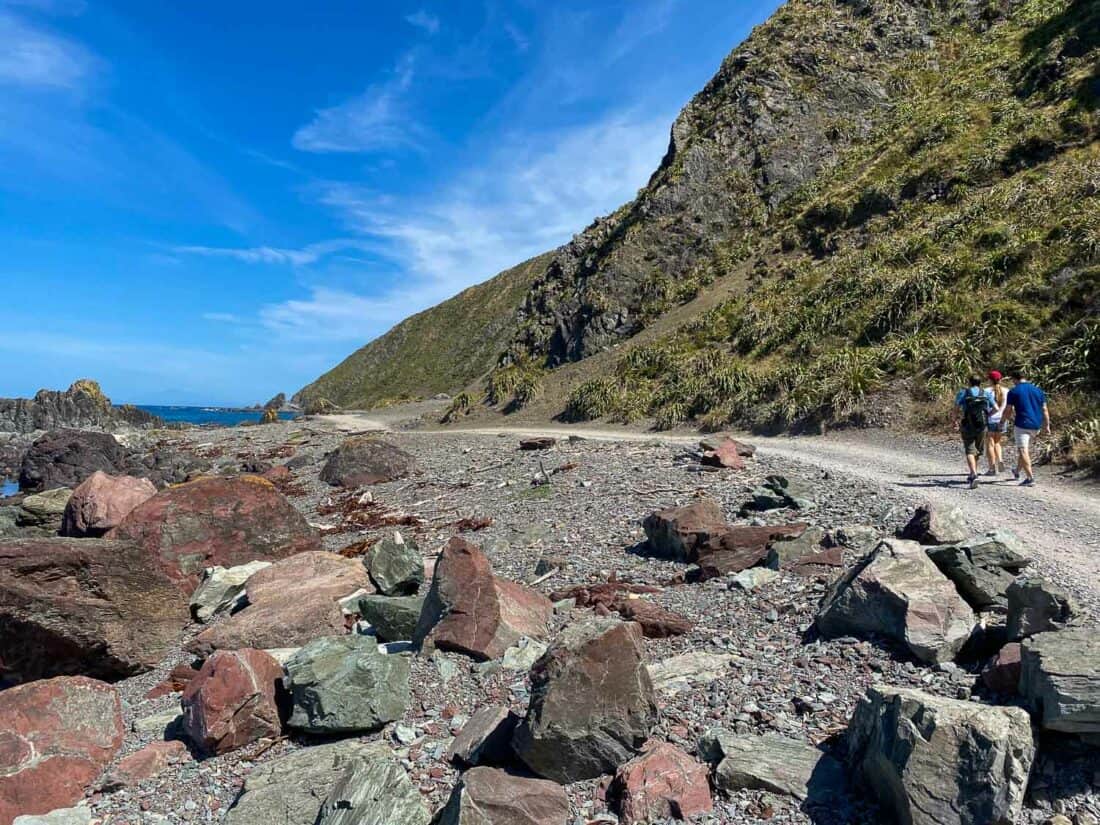 The Red Rocks Coastal Walkway in Wellington