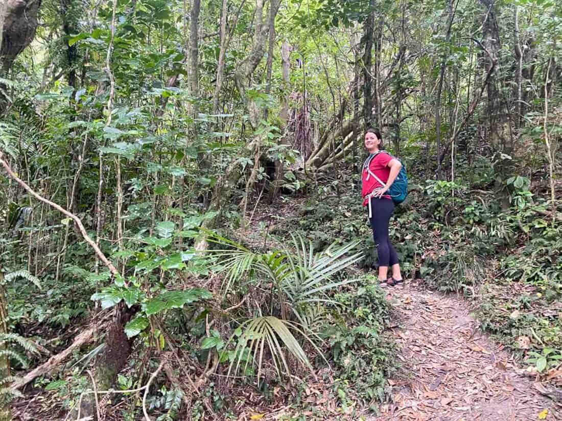 Start of the Trig Track on Kapiti Island near Wellington