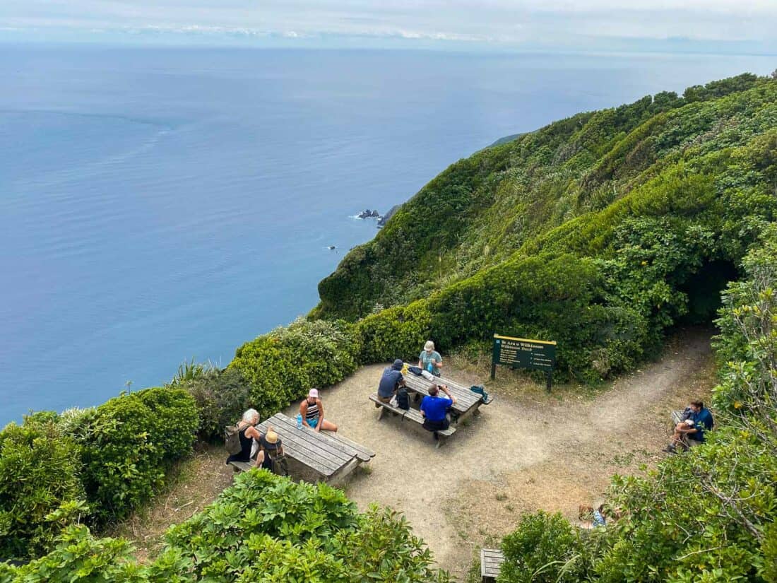 The view from the Kapiti Island Summit