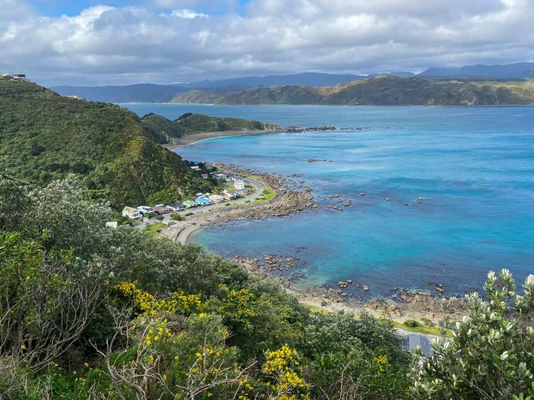 View on Wellington's Eastern Walkway