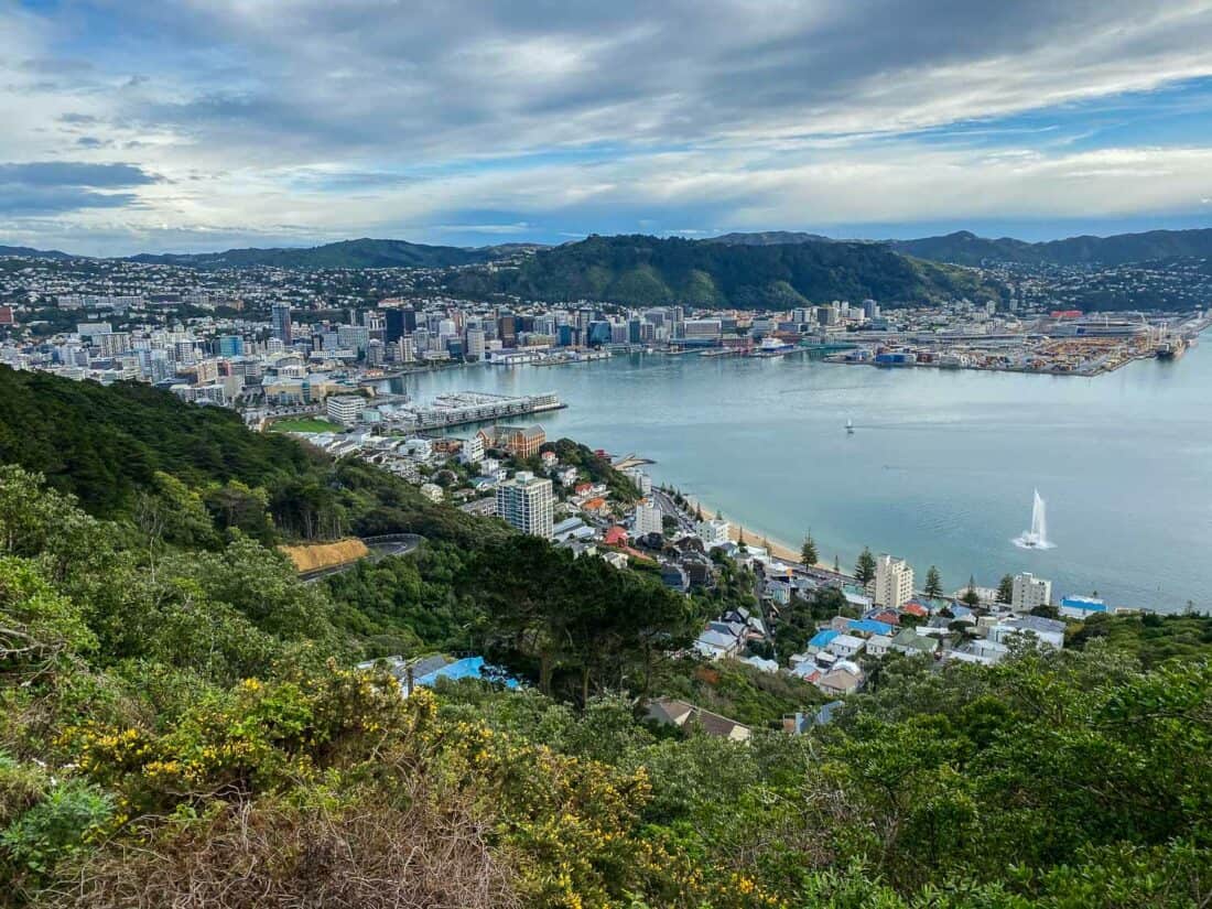 Mt Victoria Lookout in Wellington on the Southern Walkway