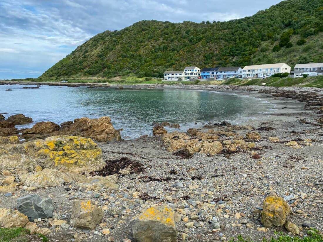 Waitaha Cove on the Wellington south coast near Houghton Bay